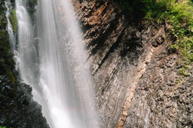 Yazın güzel bir şelale. Hızlı bir şelale. Aşağıdan şelalenin manzarası
