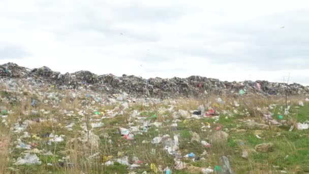 Obrovská skládka odpadků na předměstí, ekologická katastrofa planety — Stock video