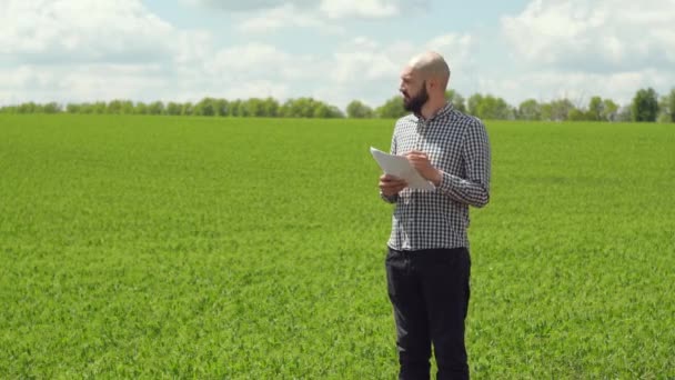 Ein Pflanzenspezialist, der das Soja-Feld vor einem grünen Hintergrund überprüft. Konzept Ökologie, Bioprodukt, Inspektion, Naturprodukte — Stockvideo
