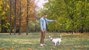 Sonbahar parkında büyük köpeği olan bir adam.