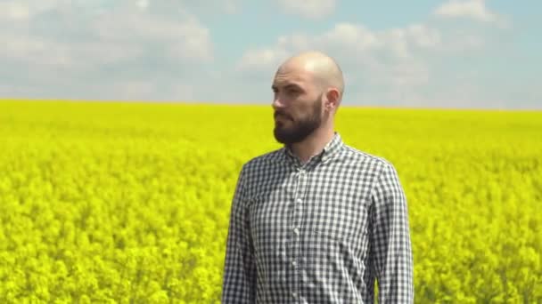 Portrait d'un jeune agriculteur barbu sur des plantes à fleurs de colza — Video