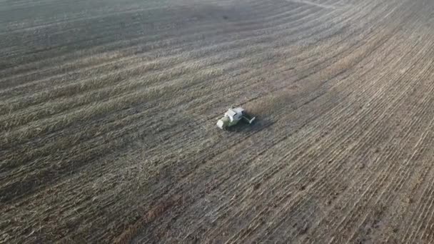COLORADO, USA, 20 OCT 2019: Las operaciones agrícolas finales de la cosechadora Claas en el campo en el otoño. Vista aérea de la cosechadora moderna de trigo en el campo — Vídeos de Stock