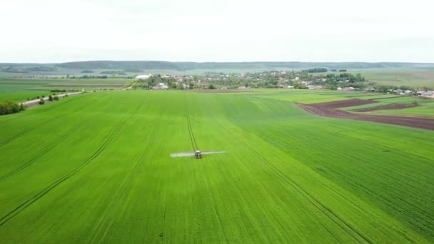 Trattore sta spruzzando pesticidi sul campo di grano. Macchine agricole che spruzzano insetticida nel campo verde, lavori agricoli naturali stagionali primaverili — Video Stock