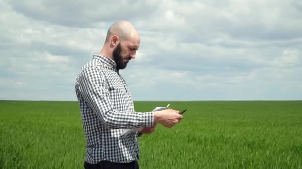 Landbouwkundige of landbouwer onderzoekt de groei van tarwe — Stockvideo