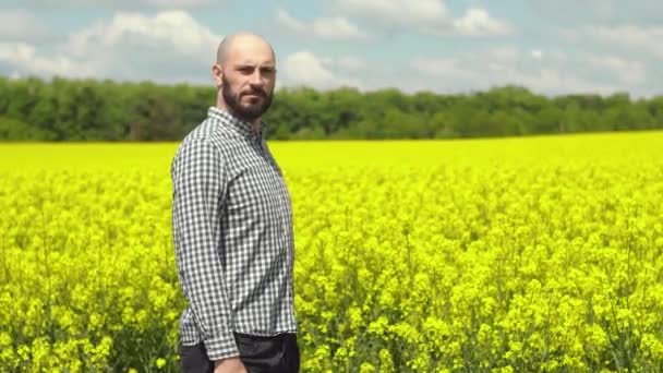 Agronomista badający kwitnące pole rzepaku. Pole rzepaku — Wideo stockowe