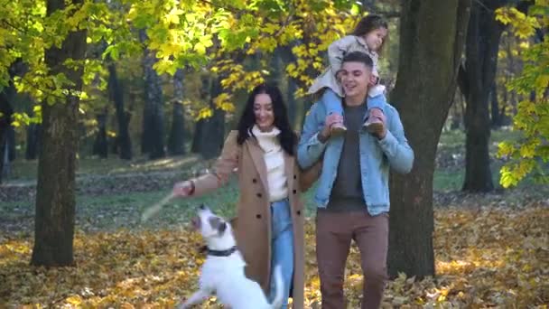 Gelukkige familie met hondenwandeling op herfstbladeren — Stockvideo