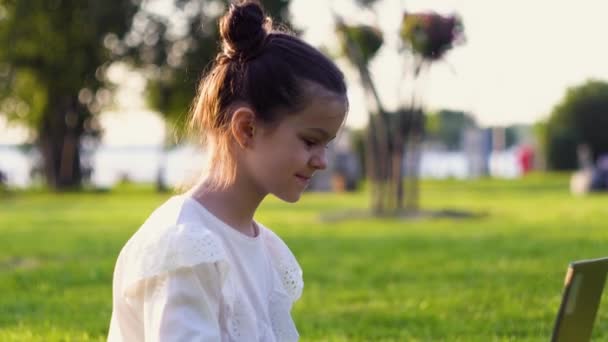 Niña está estudiando en línea en el ordenador portátil en un parque en un día soleado de verano — Vídeos de Stock