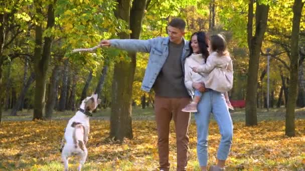 Glückliche Familie mit Hund im Herbstpark. Sturz — Stockvideo