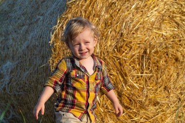 Küçük sarı saçlı çocuk buğday tarlasında balyalarla oynuyor.