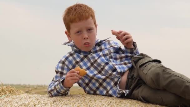 Рыжий мальчик лежит на тюке и держит хлеб и колбасу посреди пшеничного поля с тюками летним вечером — стоковое видео