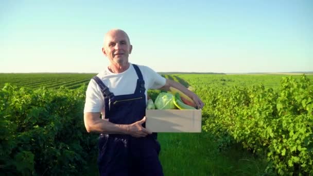 Happy senior farmer walking with a box of organic vegetables and looking at camera — Stock Video