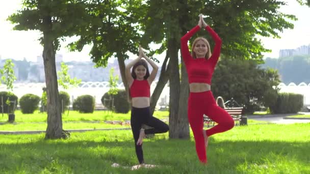 Жінка з дочкою робить йогу в дереві позує медитуючи в парку біля озера — стокове відео