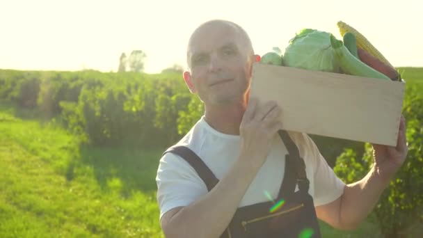 Χαρούμενος αγρότης που περπατάει με ένα κουτί βιολογικά λαχανικά και κοιτάζει την κάμερα — Αρχείο Βίντεο