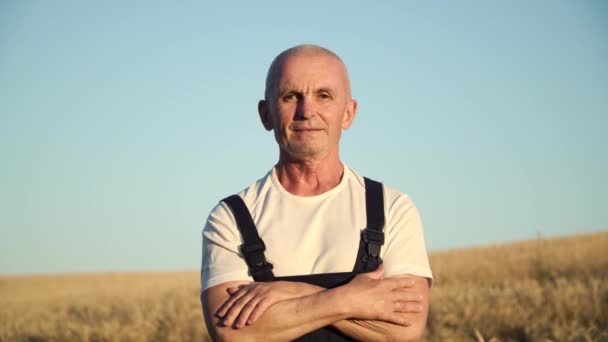 Close up portrait of senior farmer looking to the camera in the golden field on the blue sky background sunny day. Farming and agriculture concept — Stock Video