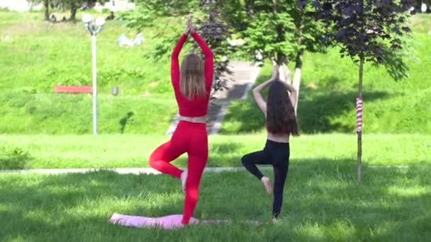 Mujer y niña haciendo yoga en árbol posan meditando en el parque cerca del lago — Vídeo de stock