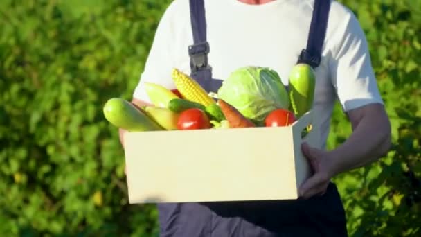 Happy senior farmer is holding a box of organic vegetables and look at camera — Stock Video