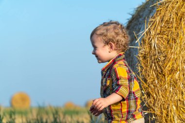 Küçük sarı saçlı çocuk buğday tarlasında balyalarla oynuyor.