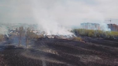 Yanan tepenin üzerinde, kalın beyaz duman bulutu kareden uçuyor. Aşırı sıcaklık ve iklim değişikliğinden kaynaklanan doğal afet