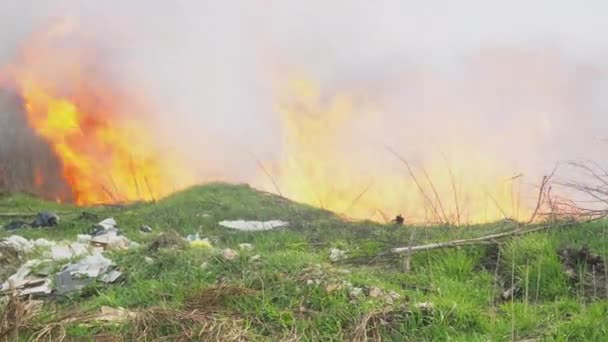 トラックの火事だ。野火、燃やす木、畑、煙 — ストック動画