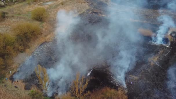 Vue aérienne du pompier dans l'équipement éteindre un incendie de forêt avec un tuyau d'incendie — Video