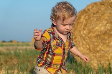 Küçük sarı saçlı çocuk buğday tarlasında balyalarla oynuyor.