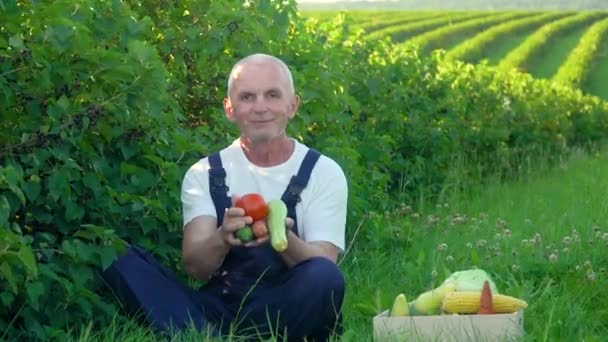 Happy senior farmer is holding a box of organic vegetables and look at camera — Stock Video