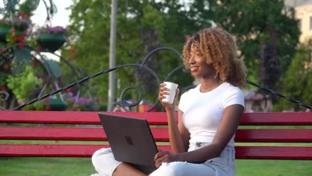 Beautiful young african american woman working on laptop on a bench in the city park and drinks coffee — Stock Video