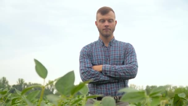 L'agricoltore guarda la telecamera sul campo di soia. Concetto ecologia, bioprodotto, ispezione, prodotti naturali — Video Stock