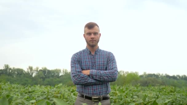 農業学者や農家は大豆の成長を調べます。大豆畑にカメラを向ける農家。概念生態学、バイオ製品、検査、天然物 — ストック動画
