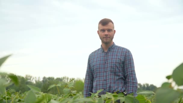 Granjero mirando la cámara en el campo de soja. Concepto ecología, bio producto, inspección, productos naturales — Vídeos de Stock