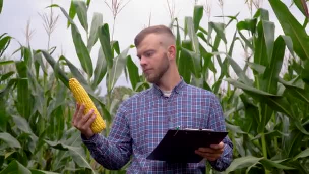 Specialista di piante con taccuino, controllando il campo di mais uno sfondo di verde. Concetto ecologia, bioprodotto, ispezione, prodotti naturali — Video Stock