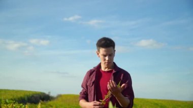 Çiftçi tarlayı kontrol ediyor. Yeşillik geçmişi var. Kavram ekolojisi, biyolojik ürün, doğal ürünler