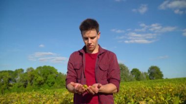 Elinde soya fasulyesi meyvesi olan bir tarım uzmanı. Kavram ekolojisi, biyolojik ürün, doğal ürünler