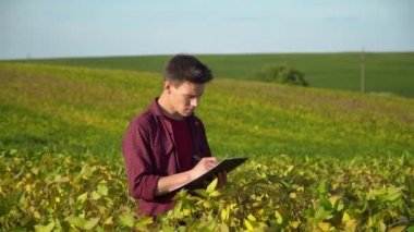 Genç çiftçi soya fasulyelerinin büyüme oranlarını yazıyor. Kavram ekolojisi, biyolojik ürün, teftiş, doğal ürünler