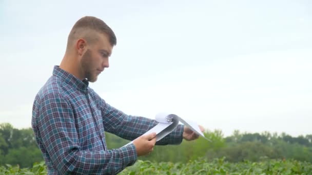 Agronómus vagy mezőgazdasági termelő vizsgálja a szójabab növekedését. Szójababmező. Fogalom ökológia, biotermék, ellenőrzés, természetes termékek — Stock videók