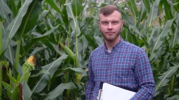 Agronom mit Notizbuch, der den Mais auf dem Feld vor einem grünen Hintergrund überprüft. Konzept Ökologie, Bioprodukt, Inspektion, Naturprodukte — Stockvideo