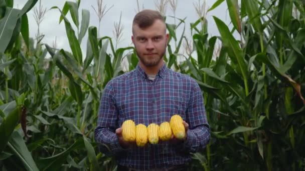 カメラを見ている彼の手にトウモロコシと農学者。トウモロコシの収穫 — ストック動画