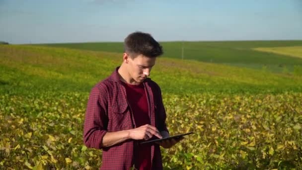 Jonge agronomist met tablet onderzoekt de groeisnelheid van sojabonen. Begrip "natuurlijke producten" — Stockvideo