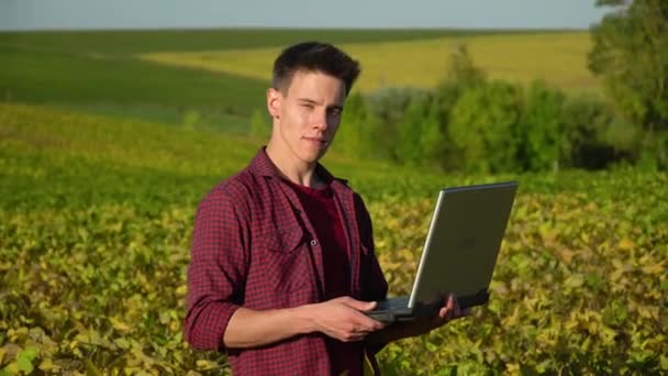 Um especialista em plantas com laptop, verificando o campo de soja um fundo de vegetação. Ecologia conceitual, produto biológico, produtos naturais — Vídeo de Stock