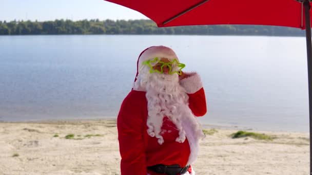호수 해변에서 재미있는 안경을 쓴 산타클로스 — 비디오