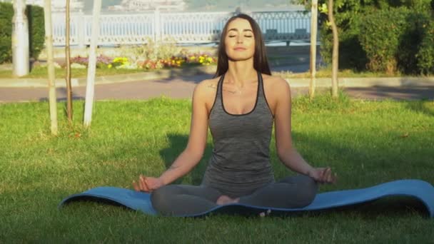 Egy fiatal nő jógázik a tó melletti parkban. Egészséges életmód koncepció — Stock videók