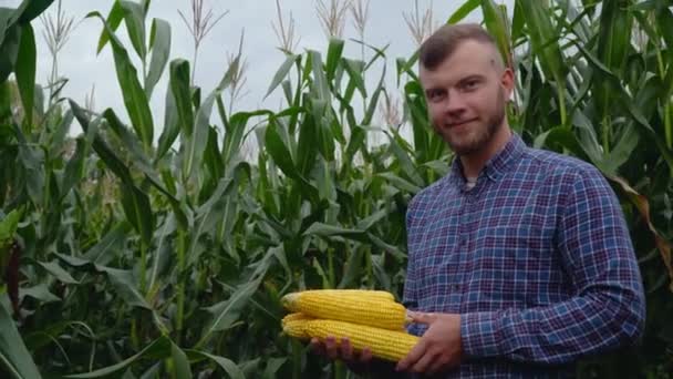 Агроном с кукурузой в руках, смотрящий в камеру. Урожай кукурузы — стоковое видео
