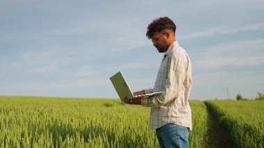 Modern tarım uygulamaları, buğday tarlasında dizüstü bilgisayar kullanan bir çiftçinin ürün yönetimi ve veri analizinde hassas tarım tekniklerini sergilemesini içerir.