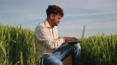 Laptop üzerinde çalışan tarımcı, tarım alanındaki buğday büyümesini takip eden, hassas mahsul yönetimi ve sürdürülebilir tarım için dijital teknolojiden yararlanan