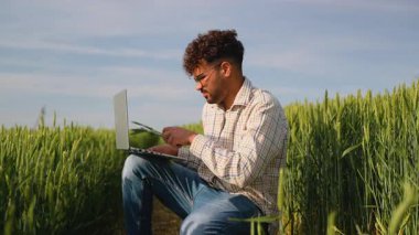 Agronomist, tarlada dizüstü bilgisayar kullanarak buğday büyümesini analiz ediyor, geleneksel tarım ve modern teknolojiyi verimli ürün yönetimi için birleştiriyor.