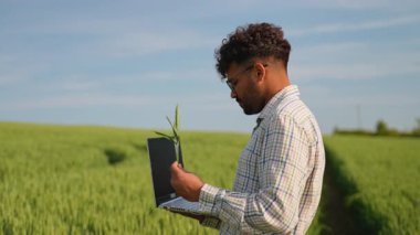 Modern tarım uygulamaları, bir tarladaki buğdayın büyümesini izlemek ve analiz etmek için dizüstü bilgisayar kullanan bir çiftçinin geleneksel tarımla teknolojiyi birleştirmesini içeriyor.