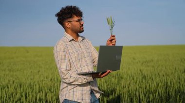 Deneyimli tarım uzmanı, buğday ekinlerini analiz ediyor, geniş yeşil tarımsal alanda parlak gökyüzü altında dururken dizüstü bilgisayarında büyüme verilerini kaydediyor.