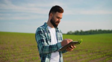 Deneyimli tarım uzmanı, bitkilerin büyümesini dikkatle inceliyor, ekin örneklerini açık gökyüzünün altında tarımsal alanda tutarken pano ile araştırma detaylarını belgeliyor.