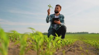 Modern tarım uygulamalarında, bir çiftçinin dijital tablet tutarken mısır filizlerini analiz etmesi ve hasat yönetimi için hassas tarım tekniklerini kullanması yer alıyor.