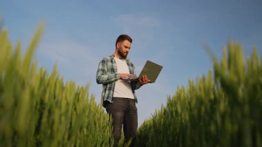Hassas tarım için dizüstü bilgisayar kullanan, mahsul sağlığını izleyen ve mavi gökyüzü altındaki geniş buğday tarlasında tarım kaynaklarını yöneten çiftçi